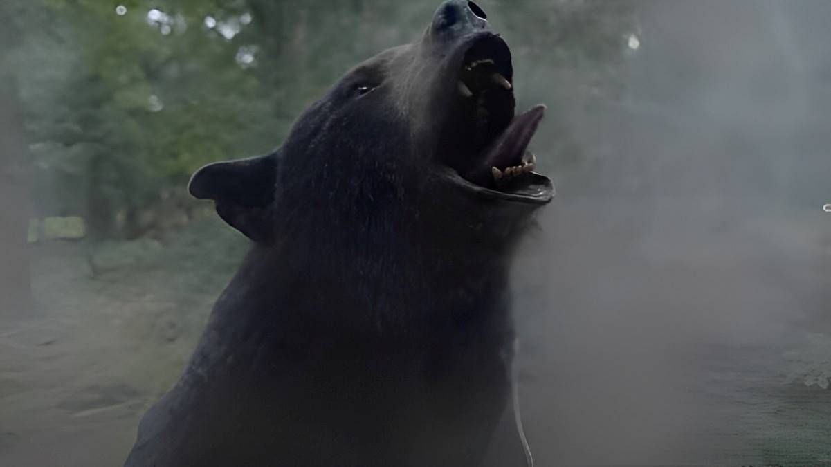 《熊蓋毒/大毒BEAR》影評：有內涵的B級電影，角色鮮明情節有趣